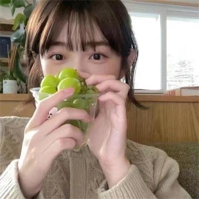 绵羊侦探团